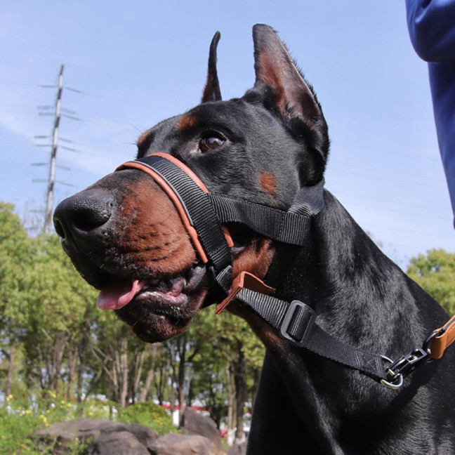 No-Pull Dog Head Collar Adjustable Dog Head Halter with Padded Nose Band Reflective Training Muzzle Leash for Medium Large Dogs