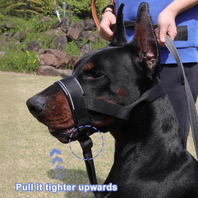 No-Pull Dog Head Collar Adjustable Dog Head Halter with Padded Nose Band Reflective Training Muzzle Leash for Medium Large Dogs