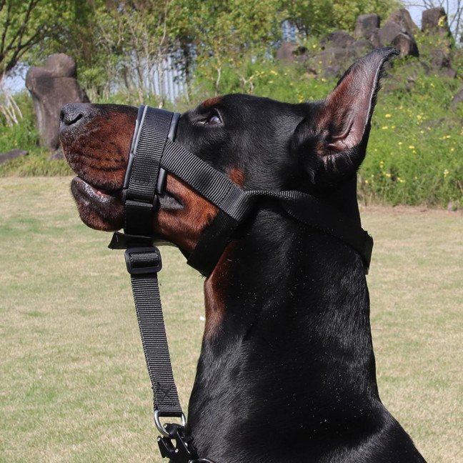 No-Pull Dog Head Collar Adjustable Dog Head Halter with Padded Nose Band Reflective Training Muzzle Leash for Medium Large Dogs