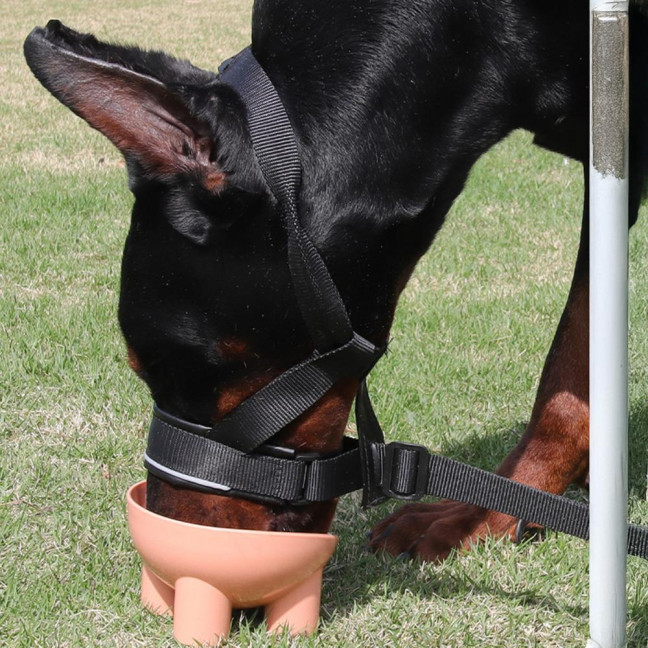 No-Pull Dog Head Collar Adjustable Dog Head Halter with Padded Nose Band Reflective Training Muzzle Leash for Medium Large Dogs