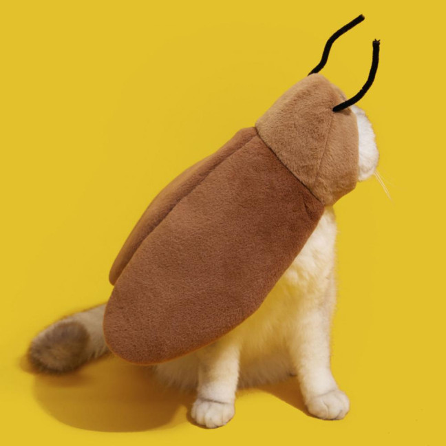 Cat Cockroach Cape Warm Velvet Cockroach Apparel with Antennae Pet Cosplay Accessory for Small And Medium Pets 