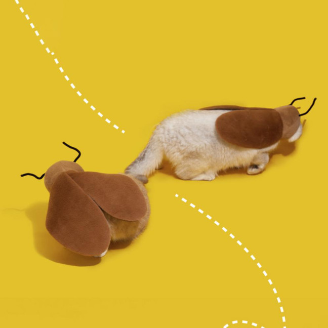 Cat Cockroach Cape Warm Velvet Cockroach Apparel with Antennae Pet Cosplay Accessory for Small And Medium Pets 