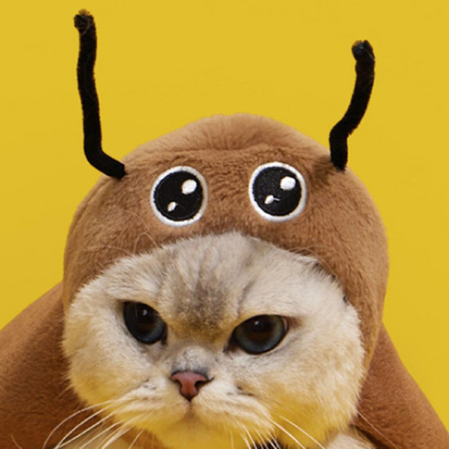 Cat Cockroach Cape Warm Velvet Cockroach Apparel with Antennae Pet Cosplay Accessory for Small And Medium Pets 