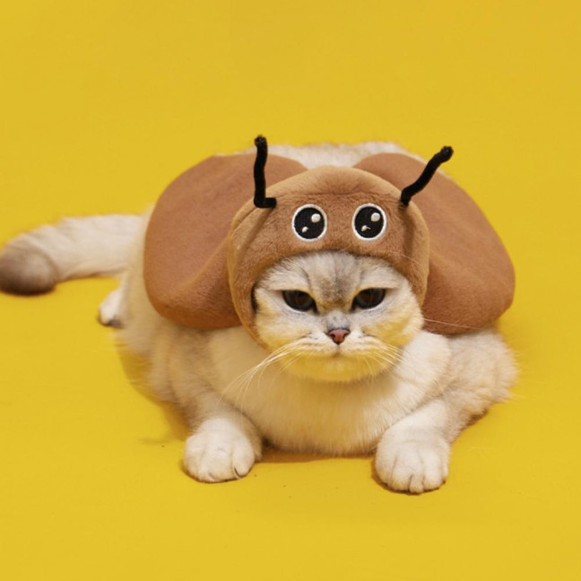 Cat Cockroach Cape Warm Velvet Cockroach Apparel with Antennae Pet Cosplay Accessory for Small And Medium Pets 