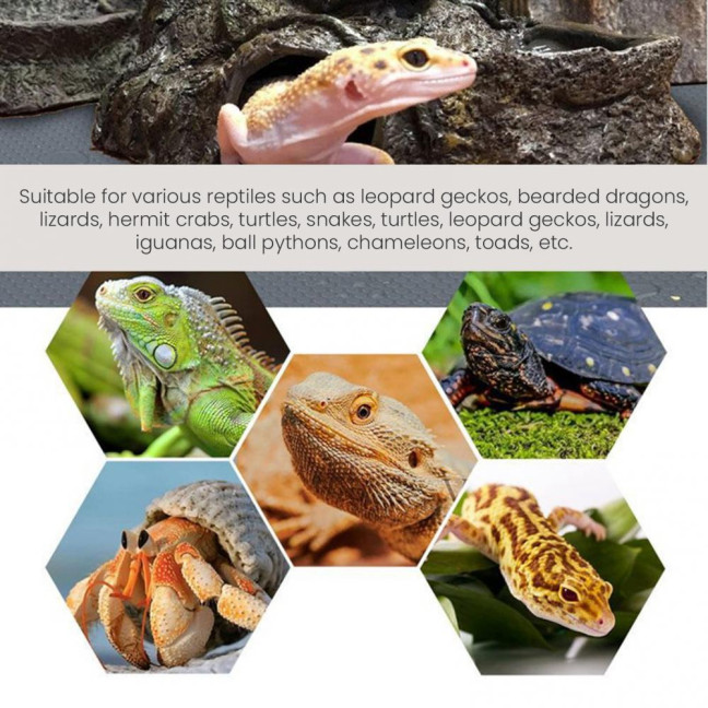 Reptile Carpet Bedding Cuttable Terrarium Substrate Liner Non-Slip Bearded Dragon Tank Mat for Snake Lizard Tortoise Leopard Gecko Tank Accessories