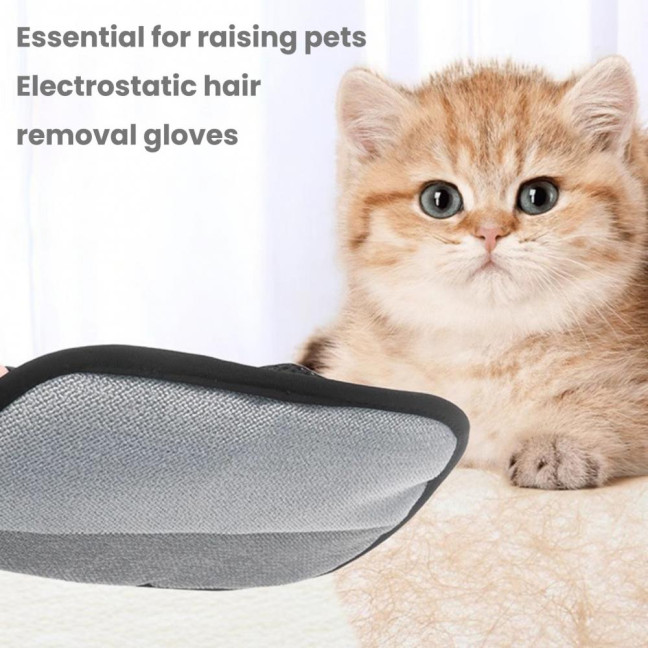 Electrostatic Pet Hair Removal Glove for Couch Bed Car Seat Reusable Hair Remover Mitt for Washing Deshedding Double Sided Grooming Glove for Cats Dogs Electrostatic Pet Hair Removal Glove for Couch Bed Car Seat Reusable Hair Remover Mitt for Washing Deshedding Double Sided Grooming Glove for Cats Dogs