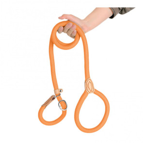 Slip Leads for Dogs Heavy Duty Nylon Rope Slip Leash for Large Medium Dogs No Pull Training Leash for Walking Control