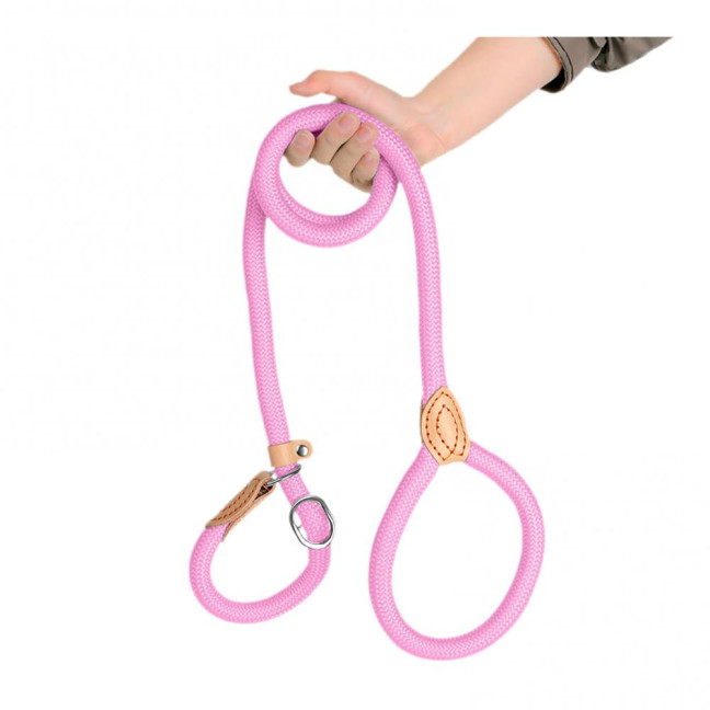 Slip Leads for Dogs Heavy Duty Nylon Rope Slip Leash for Large Medium Dogs No Pull Training Leash for Walking Control