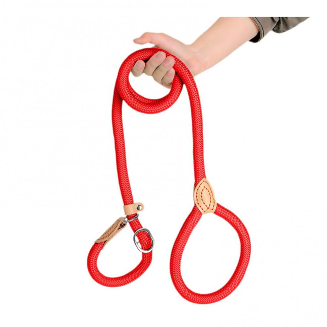 Slip Leads for Dogs Heavy Duty Nylon Rope Slip Leash for Large Medium Dogs No Pull Training Leash for Walking Control
