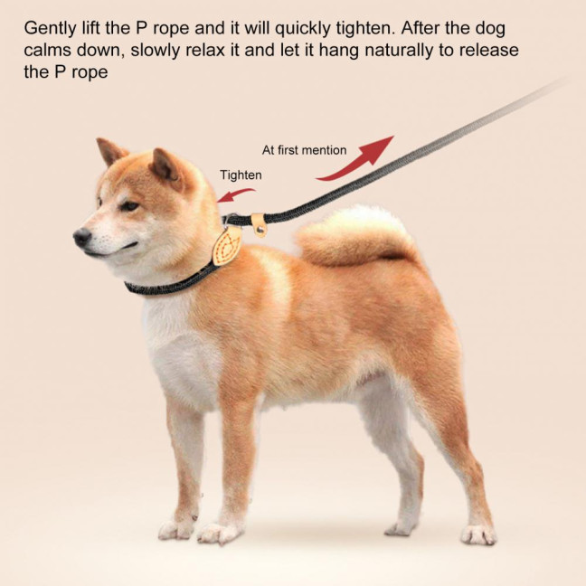 Slip Leads for Dogs Heavy Duty Nylon Rope Slip Leash for Large Medium Dogs No Pull Training Leash for Walking Control