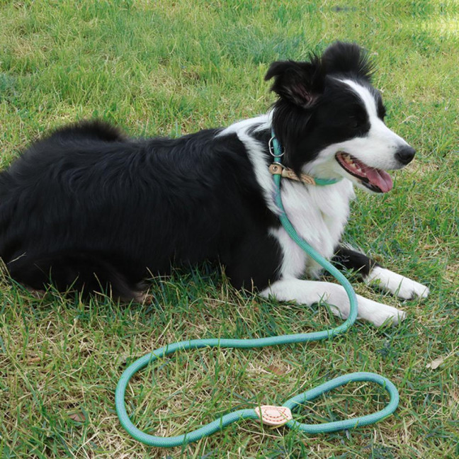 Slip Leads for Dogs Heavy Duty Nylon Rope Slip Leash for Large Medium Dogs No Pull Training Leash for Walking Control