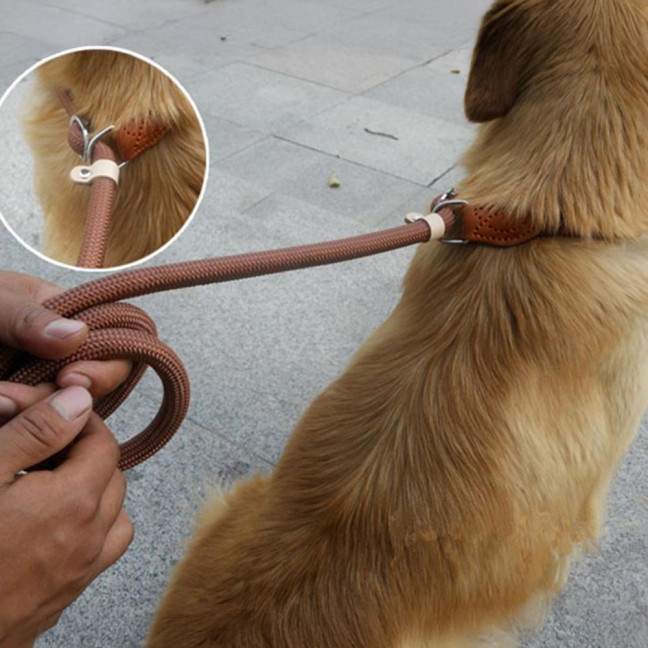 Slip Leads for Dogs Heavy Duty Nylon Rope Slip Leash for Large Medium Dogs No Pull Training Leash for Walking Control