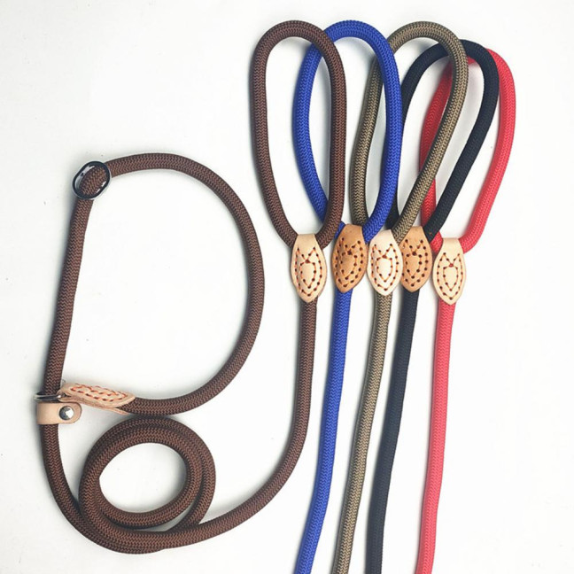 Slip Leads for Dogs Heavy Duty Nylon Rope Slip Leash for Large Medium Dogs No Pull Training Leash for Walking Control