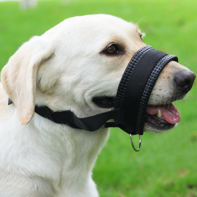 Dog Muzzle Adjustable Loop Nylon Mouth Guard Breathable Anti Barking Biting Chewing Muzzle with Reflective Straps for Small Medium Large Dog Dog Muzzle Adjustable Loop Nylon Mouth Guard Breathable Anti Barking Biting Chewing Muzzle with Reflective Straps for Small Medium Large Dog