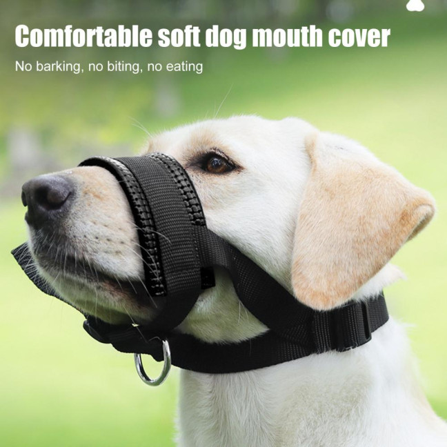 Dog Muzzle Adjustable Loop Nylon Mouth Guard Breathable Anti Barking Biting Chewing Muzzle with Reflective Straps for Small Medium Large Dog Dog Muzzle Adjustable Loop Nylon Mouth Guard Breathable Anti Barking Biting Chewing Muzzle with Reflective Straps for Small Medium Large Dog