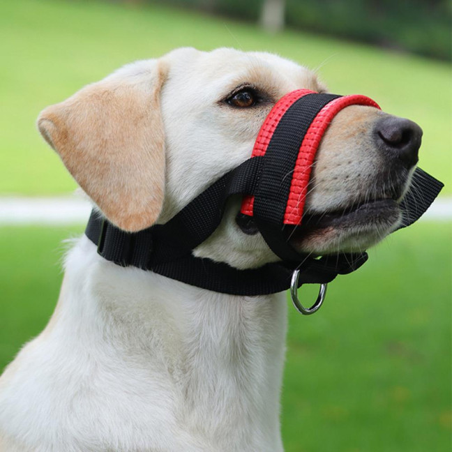 Dog Muzzle Adjustable Loop Nylon Mouth Guard Breathable Anti Barking Biting Chewing Muzzle with Reflective Straps for Small Medium Large Dog Dog Muzzle Adjustable Loop Nylon Mouth Guard Breathable Anti Barking Biting Chewing Muzzle with Reflective Straps for Small Medium Large Dog