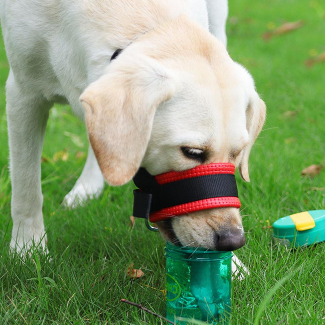 Dog Muzzle Adjustable Loop Nylon Mouth Guard Breathable Anti Barking Biting Chewing Muzzle with Reflective Straps for Small Medium Large Dog Dog Muzzle Adjustable Loop Nylon Mouth Guard Breathable Anti Barking Biting Chewing Muzzle with Reflective Straps for Small Medium Large Dog