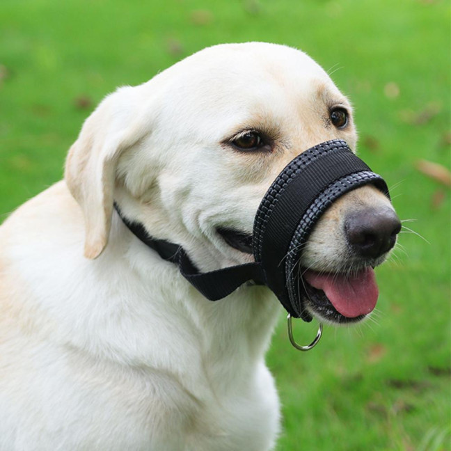 Dog Muzzle Adjustable Loop Nylon Mouth Guard Breathable Anti Barking Biting Chewing Muzzle with Reflective Straps for Small Medium Large Dog Dog Muzzle Adjustable Loop Nylon Mouth Guard Breathable Anti Barking Biting Chewing Muzzle with Reflective Straps for Small Medium Large Dog