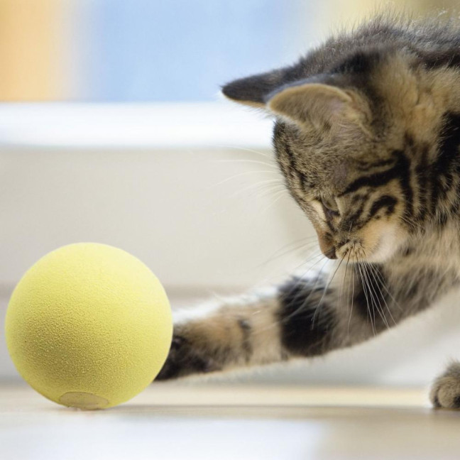 Chirping Ball Cat Toy Fluffy Plush Balls with Sound Interactive Pom Pom Balls Kitten Kicker Toy with Catnip for Indoor Cats