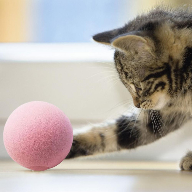 Chirping Ball Cat Toy Fluffy Plush Balls with Sound Interactive Pom Pom Balls Kitten Kicker Toy with Catnip for Indoor Cats