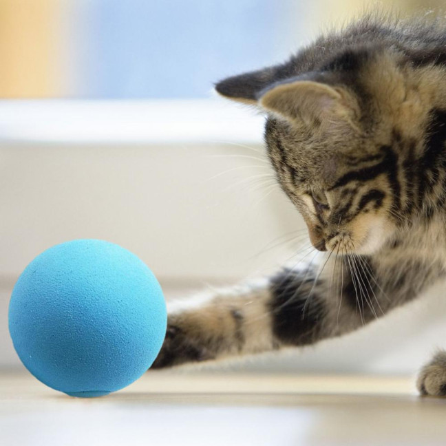 Chirping Ball Cat Toy Fluffy Plush Balls with Sound Interactive Pom Pom Balls Kitten Kicker Toy with Catnip for Indoor Cats