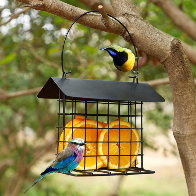 Suet Feeder for Outside Hanging Metal Suet Cake Holder Weatherproof Single Suet Cage Birds Feeder for Wild Birds Woodpecker