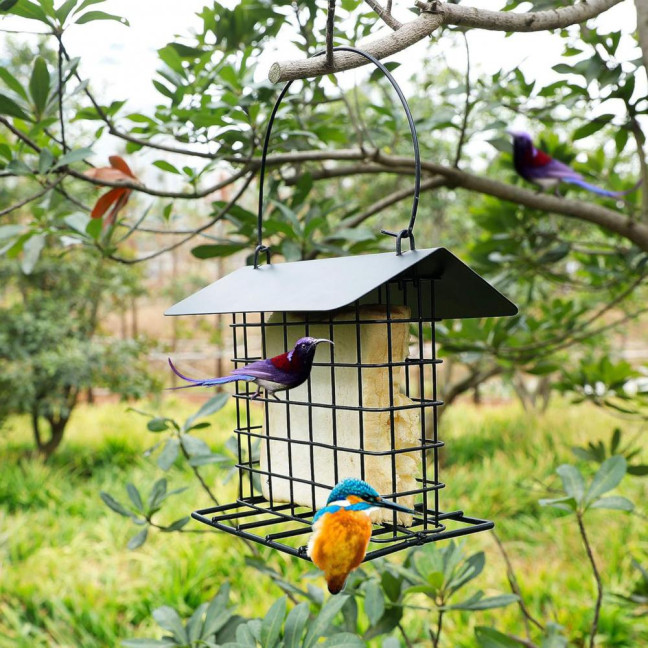 Suet Feeder for Outside Hanging Metal Suet Cake Holder Weatherproof Single Suet Cage Birds Feeder for Wild Birds Woodpecker