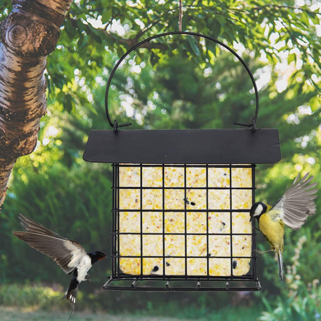 Suet Feeder for Outside Hanging Metal Suet Cake Holder Weatherproof Single Suet Cage Birds Feeder for Wild Birds Woodpecker