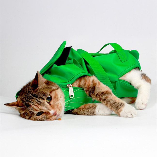 Cat Pouch Carrier Backpack Adjustable Pet Travel Sling Bag with Storage Pocket for Grooming Vet Visits Medication Administration Dental Care Nail Trimming