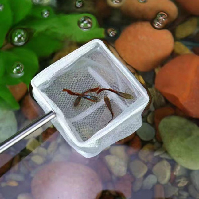 Aquarium Fish Net with Extendable Handle Telescopic Mesh Net for Fish And Shrimp Catching Debris Cleaning Tool for Fish Tank Pond Creek