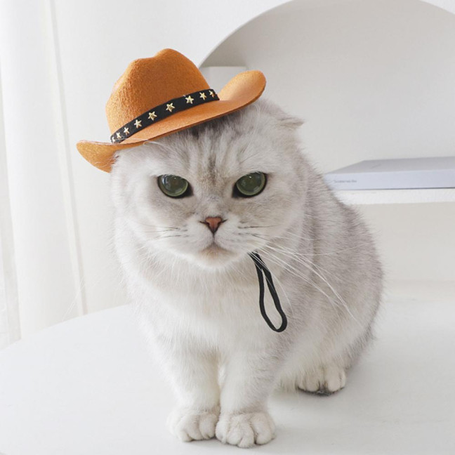 Pet Cowboy Hat Adjustable Dog Cosplay Cap Halloween Christmas Costume Accessory for Dogs Cats Dress Up Party Decoration