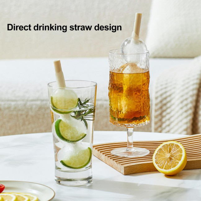 3Pcs Creative Popsicle Ice Mold with Straw Haws Shape Ice Cream Mold Refrigerator Ice Cube Tray for Homemade DIY Desserts Cocktail 