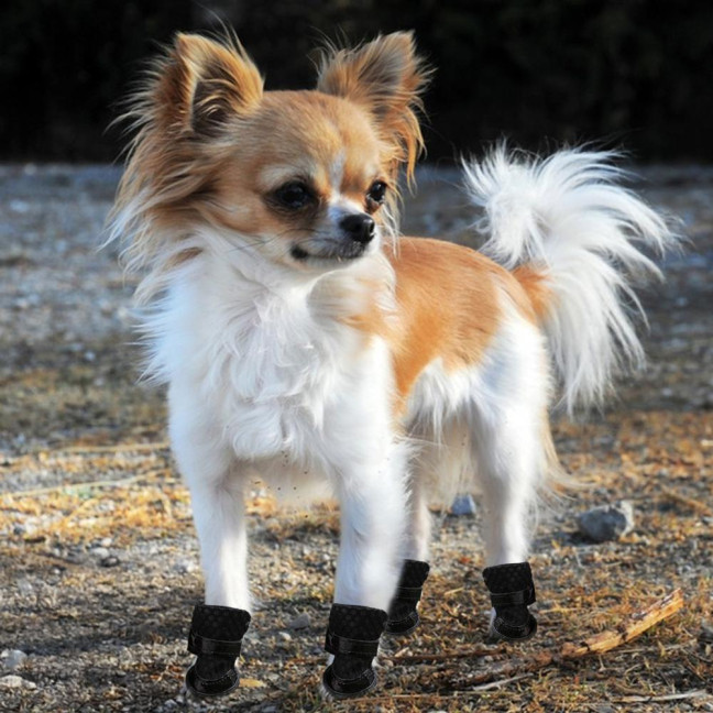 4 Pcs Dog Shoes Breathable Mesh Dog Boots for Summer Hot Pavement Anti-Slip Sole Paw Protector for Small Medium And Large Dogs