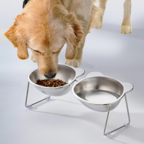 Stainless Steel Elevated Cat Bowl Tilted Raised Cat Bowl with Metal Stand Pet Feeding Dish to Prevent Fatigue for Indoor Cat And Dog