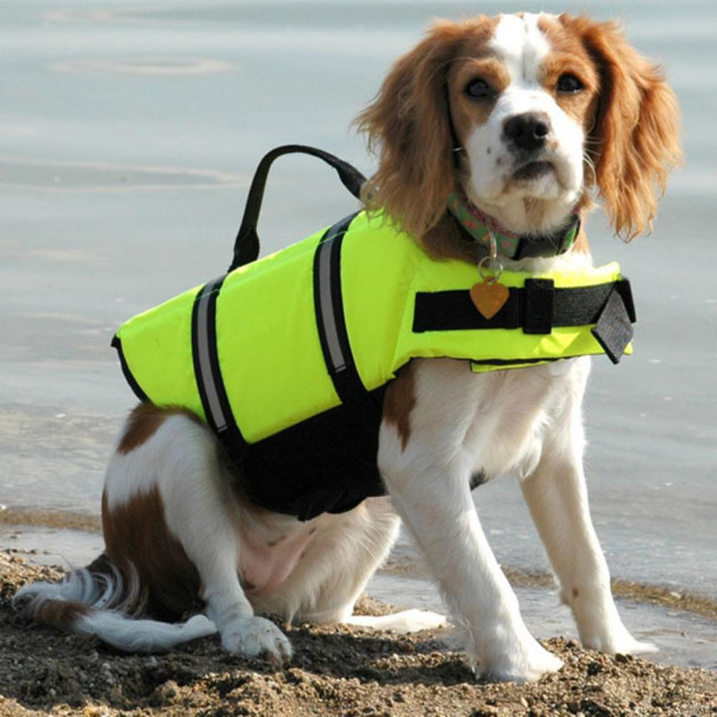 Dog Life Jacket Reflective Dog Flotation Safety Vest with Rescue Handle for Swimming Boating Surfing Adjustable Lifejacket Swimwear for Small Medium Large Dogs Dog Life Jacket Reflective Dog Flotation Safety Vest with Rescue Handle for Swimming Boating Surfing Adjustable Lifejacket Swimwear for Small Medium Large Dogs