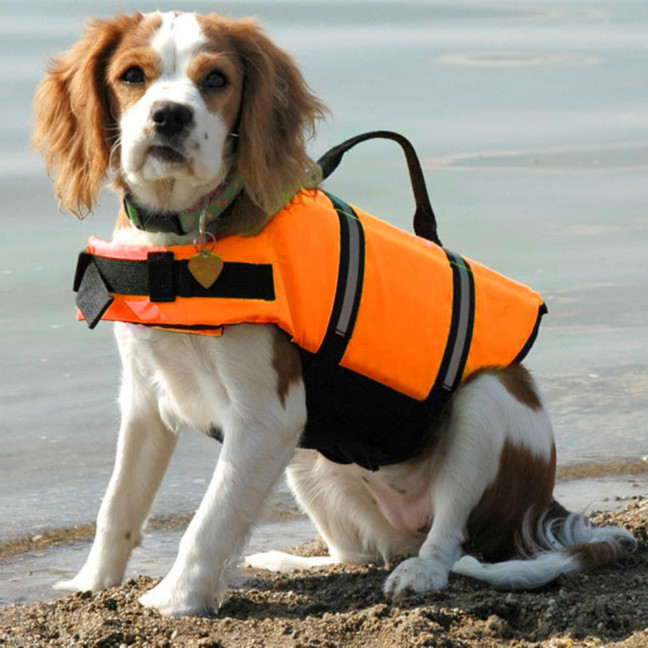 Dog Life Jacket Reflective Dog Flotation Safety Vest with Rescue Handle for Swimming Boating Surfing Adjustable Lifejacket Swimwear for Small Medium Large Dogs Dog Life Jacket Reflective Dog Flotation Safety Vest with Rescue Handle for Swimming Boating Surfing Adjustable Lifejacket Swimwear for Small Medium Large Dogs
