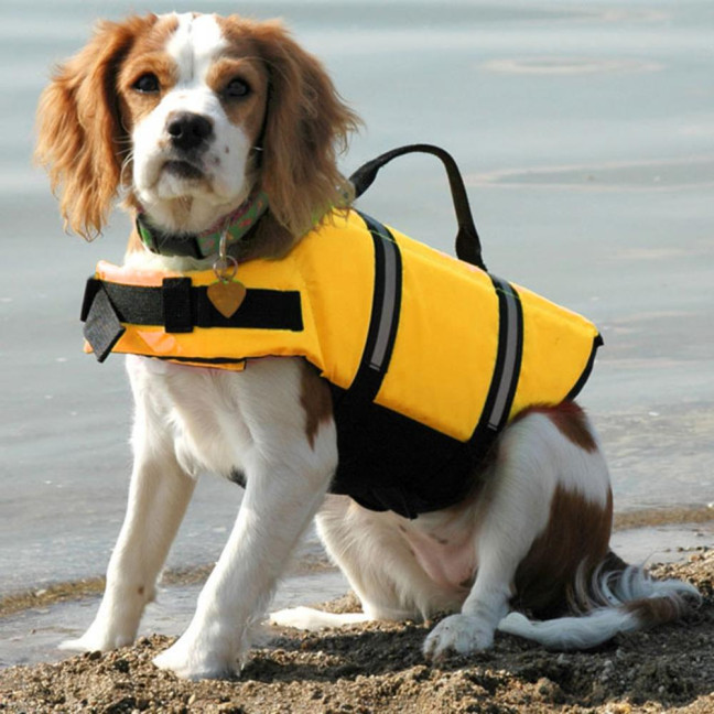 Dog Life Jacket Reflective Dog Flotation Safety Vest with Rescue Handle for Swimming Boating Surfing Adjustable Lifejacket Swimwear for Small Medium Large Dogs Dog Life Jacket Reflective Dog Flotation Safety Vest with Rescue Handle for Swimming Boating Surfing Adjustable Lifejacket Swimwear for Small Medium Large Dogs