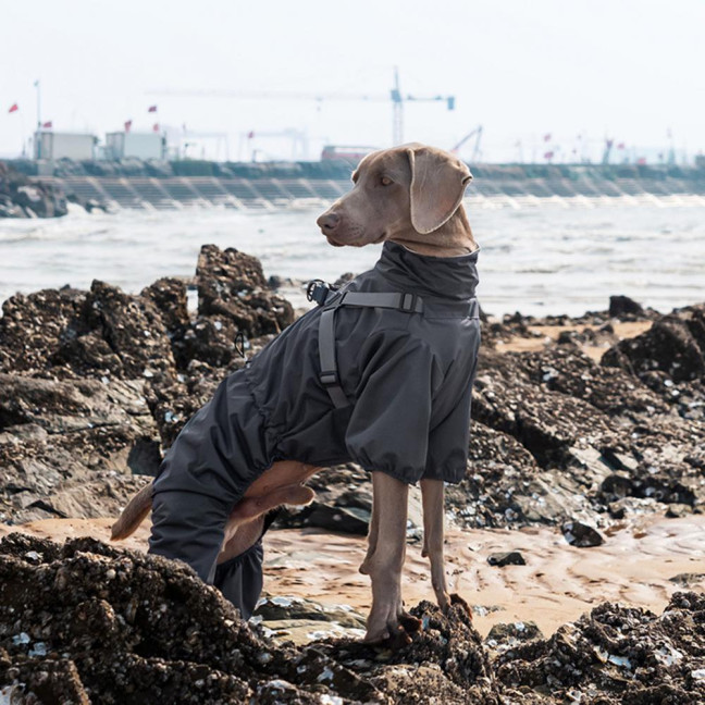 Dog Raincoat with Harness for Small Medium Dogs Adjustable Dog Rain Jacket Waterproof Puppy 4 Legs Raincoat with Reflective Strip 