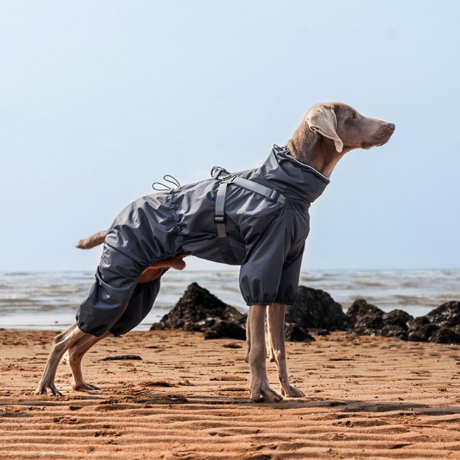 Dog Raincoat with Harness for Small Medium Dogs Adjustable Dog Rain Jacket Waterproof Puppy 4 Legs Raincoat with Reflective Strip 