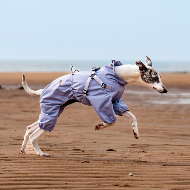 Dog Raincoat with Harness for Small Medium Dogs Adjustable Dog Rain Jacket Waterproof Puppy 4 Legs Raincoat with Reflective Strip 