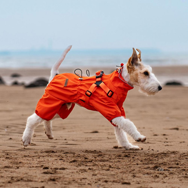 Dog Raincoat with Harness for Small Medium Dogs Adjustable Dog Rain Jacket Waterproof Puppy 4 Legs Raincoat with Reflective Strip 