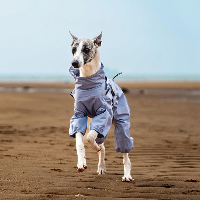 Dog Raincoat with Harness for Small Medium Dogs Adjustable Dog Rain Jacket Waterproof Puppy 4 Legs Raincoat with Reflective Strip 