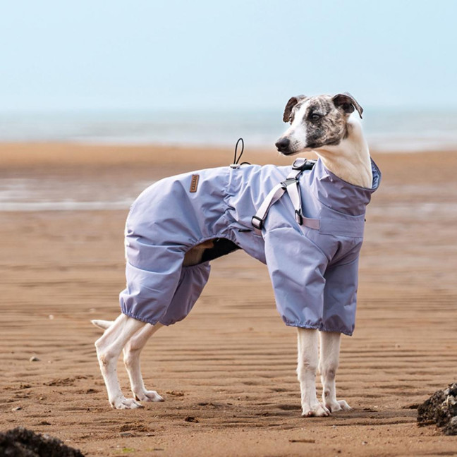 Dog Raincoat with Harness for Small Medium Dogs Adjustable Dog Rain Jacket Waterproof Puppy 4 Legs Raincoat with Reflective Strip 