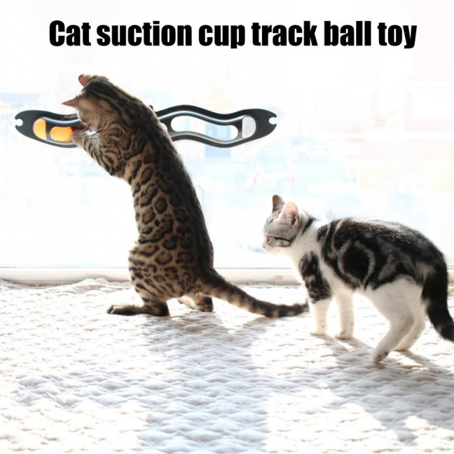 Cat Track Ball Toy with Suction Cup Cat Boredom Stress Relief Home Indoor Wall Mount Hollow Wavy Track Ball Interactive Toy Pet Supplies 