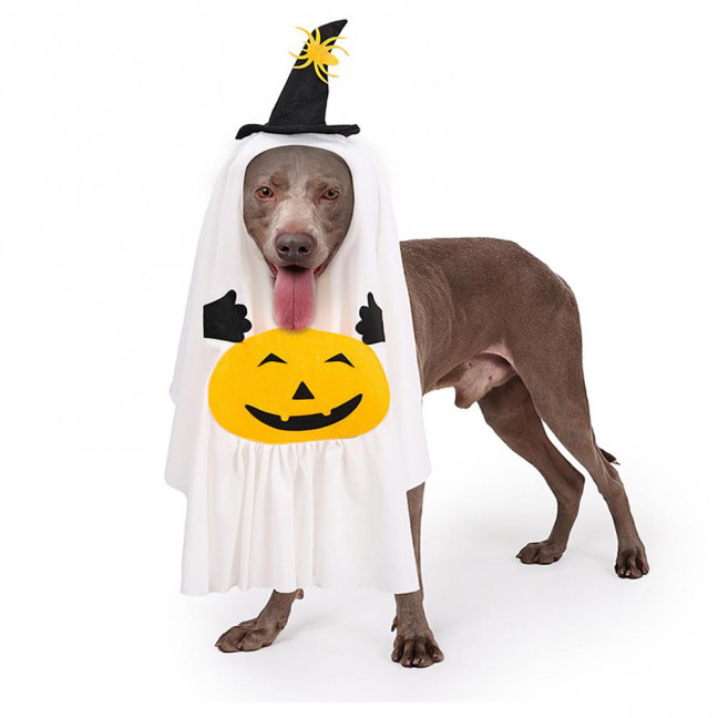 Halloween Ghost Dog Outfit Pumpkin White Ghost Costume Pet Cosplay Attire with Witch Hat for Trick or Treat Costume Party Photoshoot 