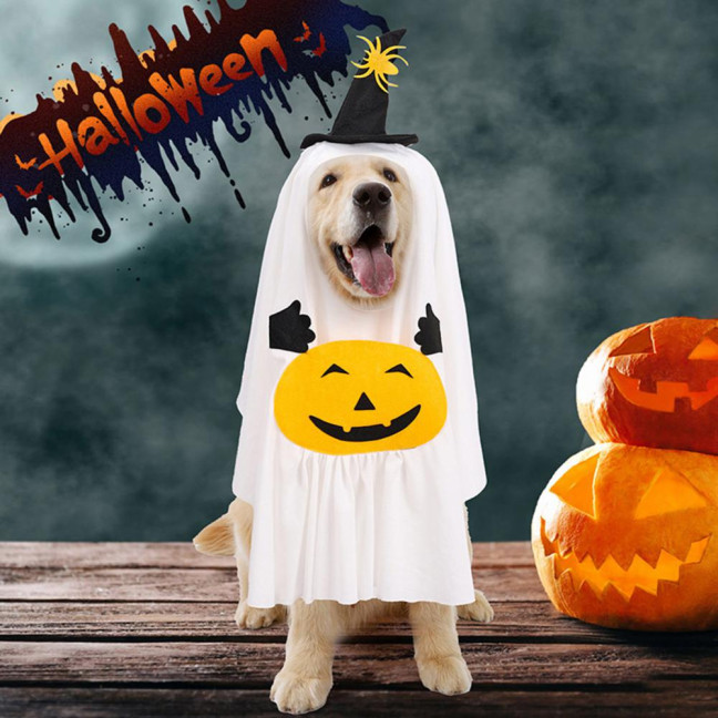 Halloween Ghost Dog Outfit Pumpkin White Ghost Costume Pet Cosplay Attire with Witch Hat for Trick or Treat Costume Party Photoshoot 