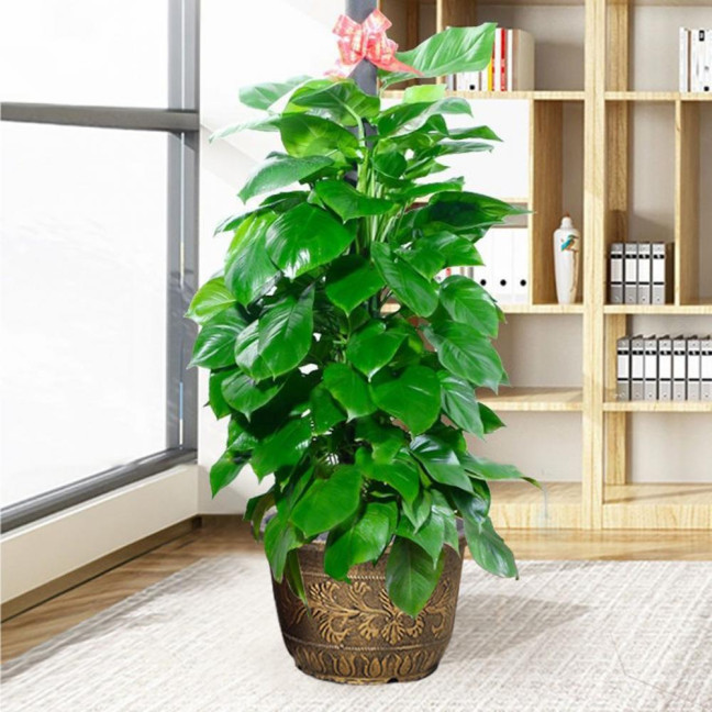 Large Flower Pot Thickened Plant Pot with Drainage Hole Retro Resin Lotus Planter for Indoor Outdoor Plants Home Gardening