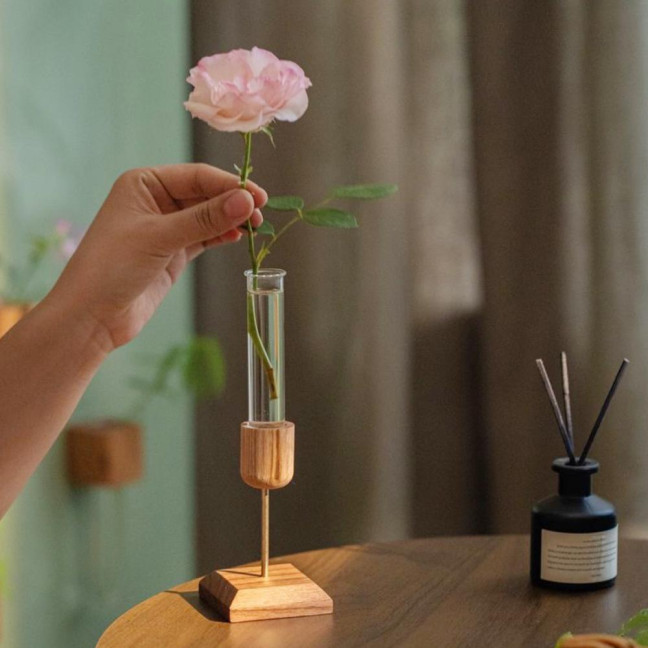 Plant Propagation Station Wooden Stand with Glass Test Tube Vase Desktop Hydroponic Planter for Home Office Decor Floral Arrangements