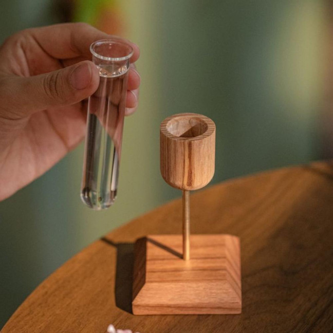 Plant Propagation Station Wooden Stand with Glass Test Tube Vase Desktop Hydroponic Planter for Home Office Decor Floral Arrangements