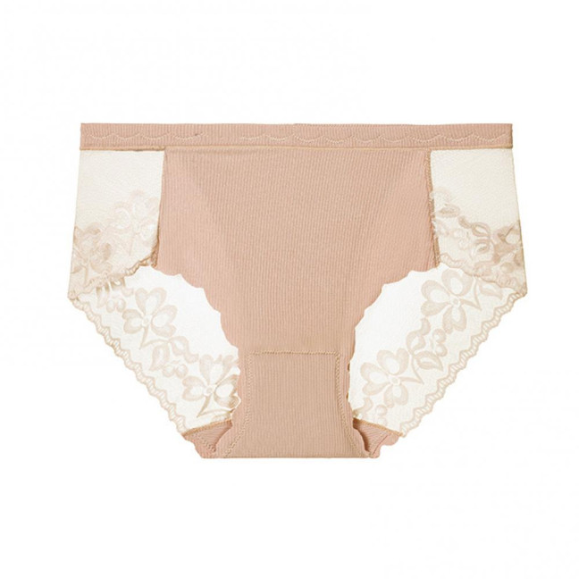 Sexy Lace Underwear for Women Mid Rise Seamless Floral Lace Sheer Briefs Stretchy No Show Hipster Panties